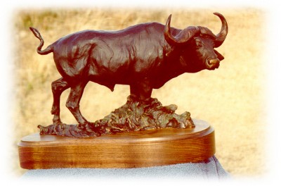 Bronze sculpture of Cape Buffalo