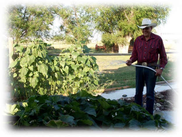 Sculptor Harvey Rattey watering flowers.