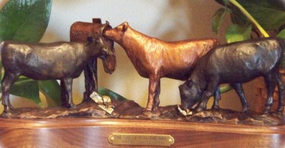 Bronze sculpture of three Angus heifers.