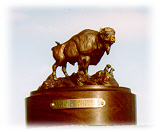Bronze sculpture of buffalo bull.