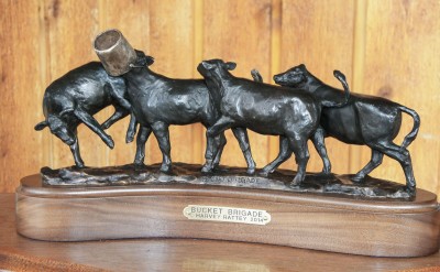 Bronze sculpture of four Angus heifers frolicking.