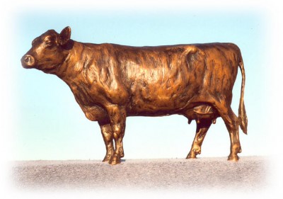 Bronze sculpture of a Jersey Cow.