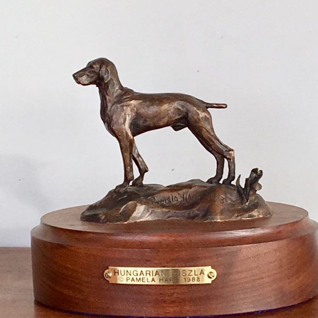 Bronze sculpture of  a Hungarian Viszla dog.