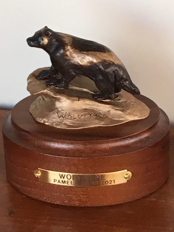 Bronze sculpture of a wolverine by Pamela Harr